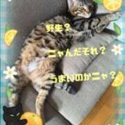 ヒメ日記 2025/08/02 09:30 投稿 守殿柚希 五十路マダム姫路店