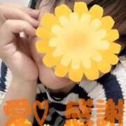 ヒメ日記 2025/08/14 14:42 投稿 守殿柚希 五十路マダム姫路店