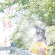 ヒメ日記 2025/08/25 09:40 投稿 守殿柚希 五十路マダム姫路店