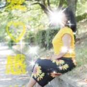 ヒメ日記 2025/08/25 12:40 投稿 守殿柚希 五十路マダム姫路店