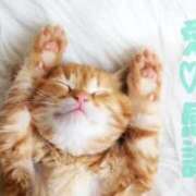 ヒメ日記 2025/10/08 18:24 投稿 守殿柚希 五十路マダム姫路店