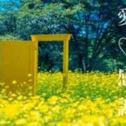 ヒメ日記 2025/10/20 19:54 投稿 守殿柚希 五十路マダム姫路店