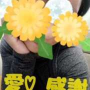 ヒメ日記 2025/11/21 17:46 投稿 守殿柚希 五十路マダム姫路店