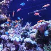 ヒメ日記 2025/05/02 16:48 投稿 智景(ちかげ) 相模原人妻城