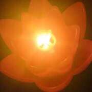 ヒメ日記 2025/06/18 09:33 投稿 智景(ちかげ) 相模原人妻城