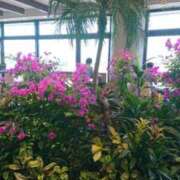 ヒメ日記 2025/08/02 16:06 投稿 智景(ちかげ) 相模原人妻城