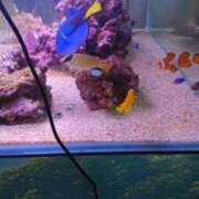 ヒメ日記 2025/08/24 13:51 投稿 智景(ちかげ) 相模原人妻城