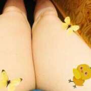 ヒメ日記 2025/08/29 09:09 投稿 智景(ちかげ) 相模原人妻城