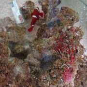 ヒメ日記 2025/09/22 13:03 投稿 智景(ちかげ) 相模原人妻城