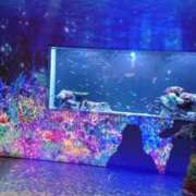 ヒメ日記 2025/10/11 16:33 投稿 智景(ちかげ) 相模原人妻城