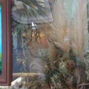 ヒメ日記 2025/10/13 11:24 投稿 智景(ちかげ) 相模原人妻城