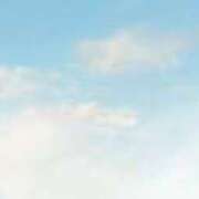 ヒメ日記 2025/11/21 13:03 投稿 智景(ちかげ) 相模原人妻城