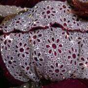 ヒメ日記 2026/01/03 17:33 投稿 智景(ちかげ) 相模原人妻城