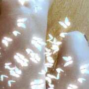 ヒメ日記 2026/02/08 00:33 投稿 智景(ちかげ) 相模原人妻城