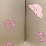 ヒメ日記 2026/03/31 01:18 投稿 智景(ちかげ) 相模原人妻城