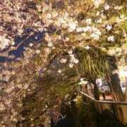 ヒメ日記 2026/04/12 02:57 投稿 智景(ちかげ) 相模原人妻城