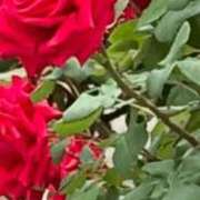 ヒメ日記 2025/05/08 18:02 投稿 あまみ 熟女の風俗最終章 西川口店