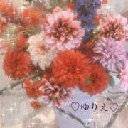 ヒメ日記 2025/10/15 11:02 投稿 ゆりえ 出会い系人妻ネットワーク 上野〜大塚編