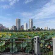 ヒメ日記 2025/10/18 14:01 投稿 ゆりえ 出会い系人妻ネットワーク 上野〜大塚編