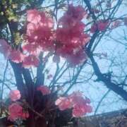 ヒメ日記 2026/03/16 13:46 投稿 ゆりえ 出会い系人妻ネットワーク 上野〜大塚編