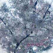 ヒメ日記 2026/04/01 11:31 投稿 ゆりえ 出会い系人妻ネットワーク 上野〜大塚編