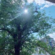 ヒメ日記 2026/06/12 17:11 投稿 ゆりえ 出会い系人妻ネットワーク 上野〜大塚編