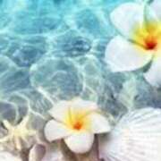 ヒメ日記 2025/07/17 10:10 投稿 さゆり 性腺熟女100％（デリヘル市場）