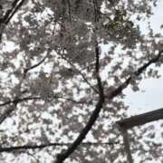 ヒメ日記 2025/04/09 10:57 投稿 はつね 奥様はエンジェル　国分寺店