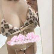 ヒメ日記 2026/02/19 18:27 投稿 あかね にゃんだ☆full☆MIX（にゃんだふるみっくす）