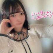 ヒメ日記 2026/02/14 10:37 投稿 夢咲ミル 池袋パラダイス