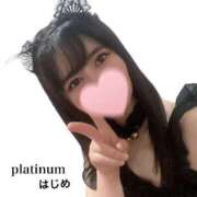 ヒメ日記 2023/12/08 21:18 投稿 ハジメ PLATINUM