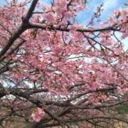 ヒメ日記 2025/04/13 09:44 投稿 かなた 即トク奥さん