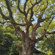 ヒメ日記 2025/05/05 10:20 投稿 かなた 即トク奥さん