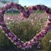 ヒメ日記 2025/05/30 14:00 投稿 かなた 即トク奥さん