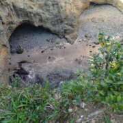 ヒメ日記 2025/06/23 22:20 投稿 かなた 即トク奥さん