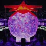 ヒメ日記 2025/08/02 09:20 投稿 かなた 即トク奥さん