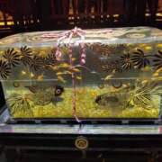 ヒメ日記 2025/08/03 10:50 投稿 かなた 即トク奥さん