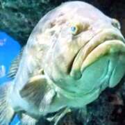 ヒメ日記 2025/11/02 19:20 投稿 かなた 即トク奥さん