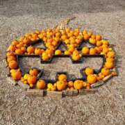 ヒメ日記 2025/09/26 15:24 投稿 りょう スイカ