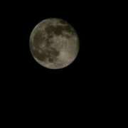 ヒメ日記 2025/11/07 19:53 投稿 りょう スイカ