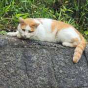 りょう 散歩！ スイカ