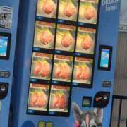 りょう 自販機！ スイカ