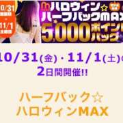 ヒメ日記 2025/10/31 14:15 投稿 つばき 木更津人妻花壇