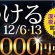 つばき イベントです 木更津人妻花壇
