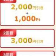 つばき 2026年 木更津人妻花壇