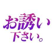 つばき イベントです 木更津人妻花壇