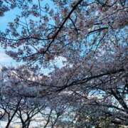 川嶋はずき おはようございます❤️ 恋する奥さん 西中島店