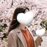 椿 おでかけ サクラ（すすきの）