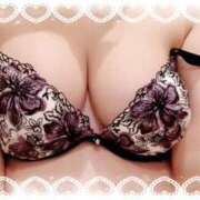 ヒメ日記 2025/11/14 19:41 投稿 すみれ 奥様さくら難波店