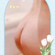 ヒメ日記 2025/04/29 08:09 投稿 すみれ clubさくら難波店